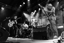 bam_20220520_krokodil_grabenhalle_sg-013_0