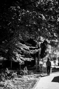 bam_20240830_grabenpark_fest_091
